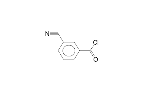 3-Cyano-benzoyl chloride