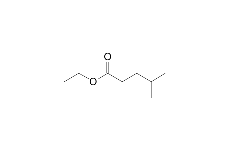 4-methylvaleric acid, ethyl ester
