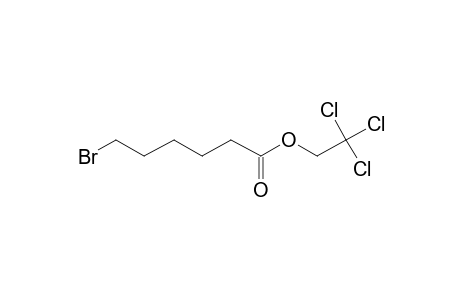 6-Bromohexanoic acid, 2,2,2-trichloroethyl ester