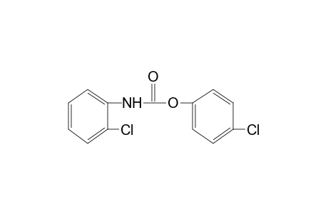 o-chlorocarbanilic acid, p-chlorophenyl ester