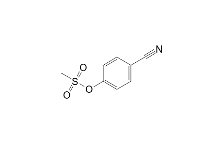 4-Methanesulfonyloxybenzonitrile