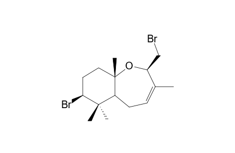 PALISADIN B