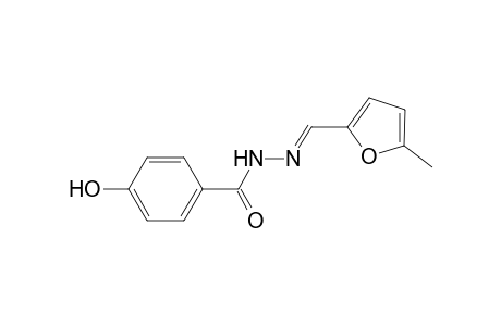 4-Hydroxy-N'-[(E)-(5-methyl-2-furyl)methylidene]benzohydrazide