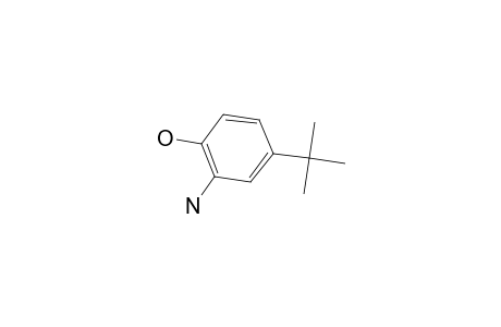 2-Amino-4-tert-butylphenol