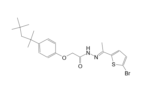 N'-[(E)-1-(5-bromo-2-thienyl)ethylidene]-2-[4-(1,1,3,3-tetramethylbutyl)phenoxy]acetohydrazide