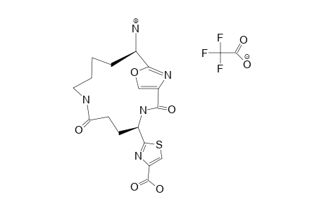 AIAYMIGSUJIWTO-DHTOPLTISA-N