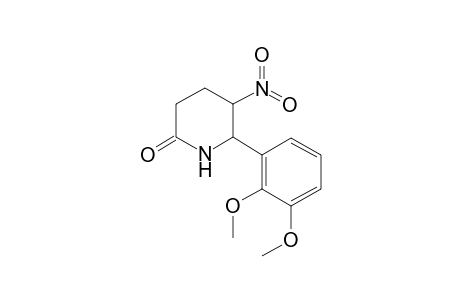 6-(2,3-Dimethoxy-phenyl)-5-nitro-piperidin-2-one