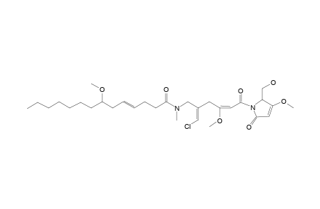 MALYNGAMIDE-R;MAJOR-CONFORMER