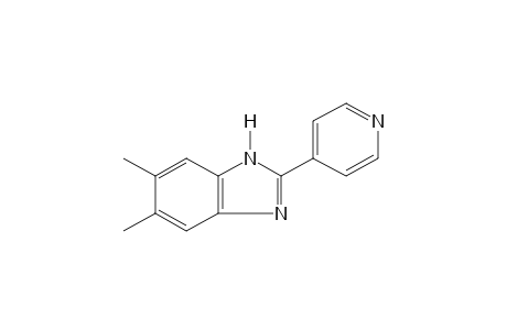 5,6-dimethyl-2-(4-pyridyl)benzimidazole