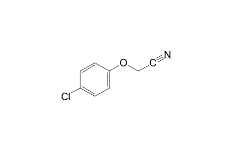 4-Chlorophenoxyacetonitrile