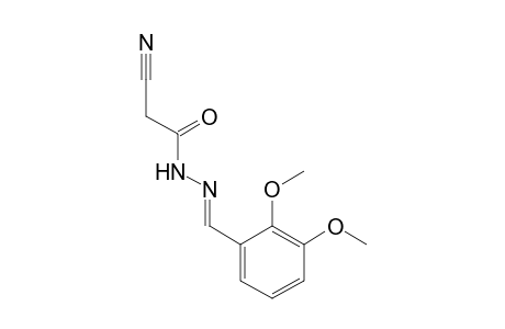 cyanoacetic acid, (2,3-dimethoxybenzylidene)hydrazide