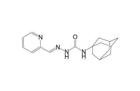 2-pyridinecarbaldehyde N-(1-adamantyl)semicarbazone