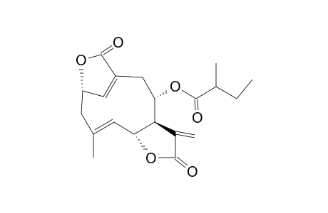 ELEPHANTOPIN,DESACYLISODEOXY,2'-METHYLBUTYRATE