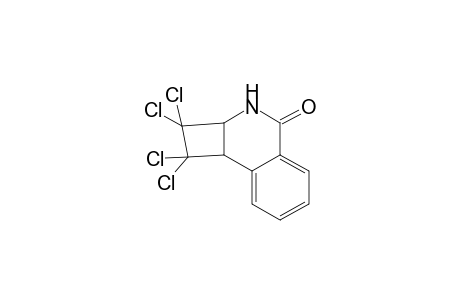 Cyclobut[c]isoquinolin-4(2H)-one, 1,1,2,2-tetrachloro-1,2a,3,8b-tetrahydro-