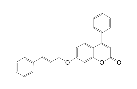 4-phenyl-7-{[(2E)-3-phenyl-2-propenyl]oxy}-2H-chromen-2-one