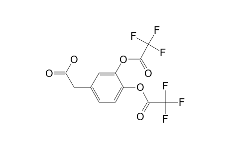 3,4-di(Trifluoroacetyloxy)phenylacetic acid