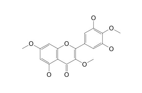 2-(3,5-Dihydroxy-4-methoxy-phenyl)-5-hydroxy-3,7-dimethoxy-chromen-4-one