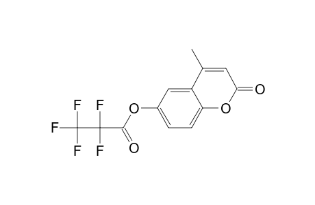 6-(Pentafluoropropionyl)oxy-4-methylcoumarin