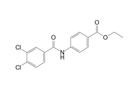 p-(3,4-dichlorobenzamido)benzoic acid, ethyl ester
