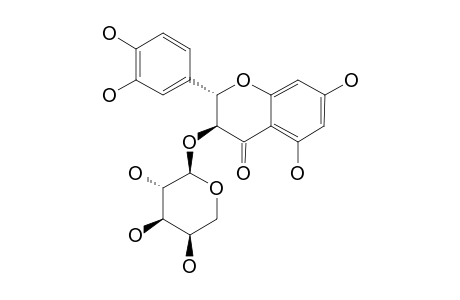 TRANS-TAXIFOLIN-3-O-ALPHA-L-ARABINOPYRANOSIDE