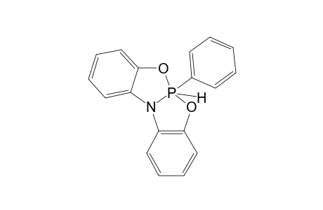 DIBENZO-BICYCLIC-PHOSPHORANE-#1