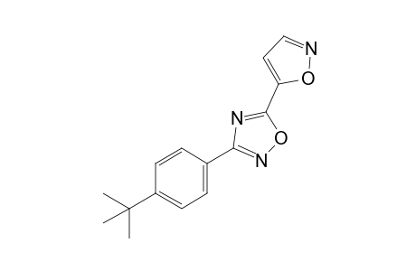 3-(p-tert-butylphenyl)-5-(5-isoxazolyl)-1,2,4-oxadiazole