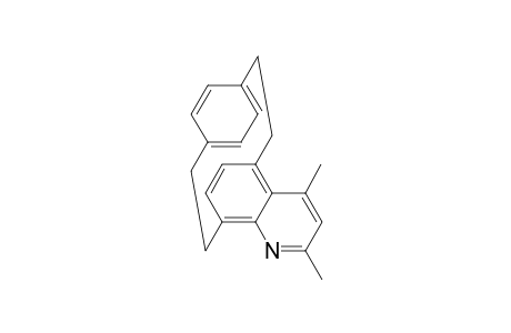 2,4-Dimethyl-[2]paracyclophanyl-[2]-(5,8)-quinolinophane