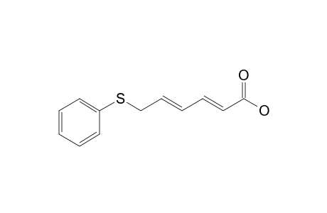 6-(Phenylthio)hexa-2,4-dienoic acid