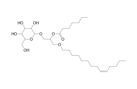 MGDG O-14:1_7:0