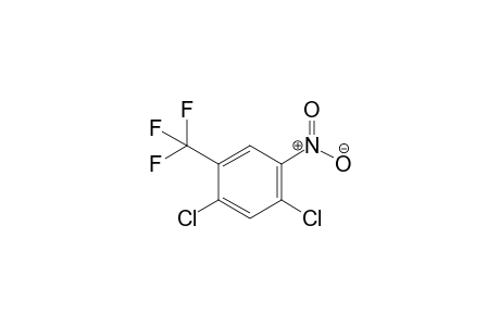 2,4-DICHLORO-5-NITRO-alpha,alpha,alpha-TRIFLUOROTOLUENE