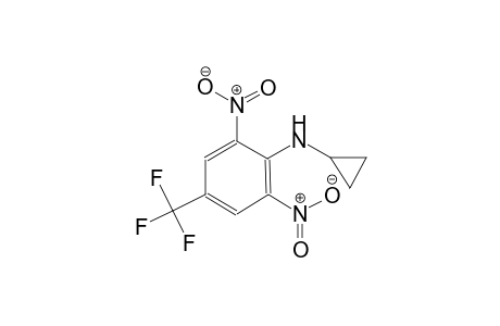 benzenamine, N-cyclopropyl-2,6-dinitro-4-(trifluoromethyl)-