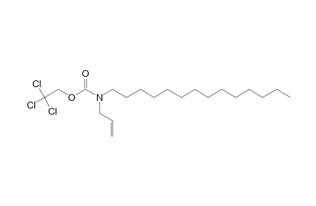 Carbamic acid, N-allyl-N-tetradecyl-, 2,2,2-trichloroethyl ester