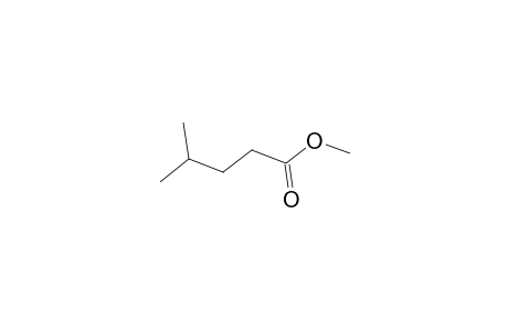 4-methylvaleric acid, methyl ester