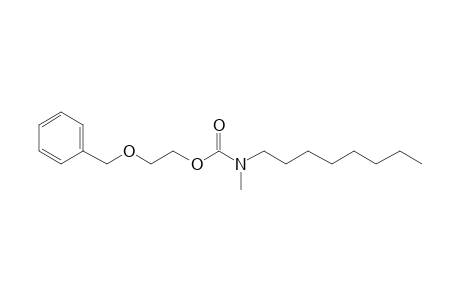 Carbamic acid, N-methyl-N-octyl-, 2-benzyloxyethyl ester