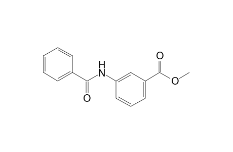 m-benzamidobenzoic acid, methyl ester