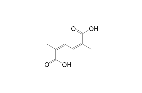 cis,cis-2,5-DIMETHYL-2,4-HEXADIENEDIOIC ACID