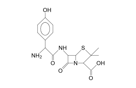 Amoxycillin