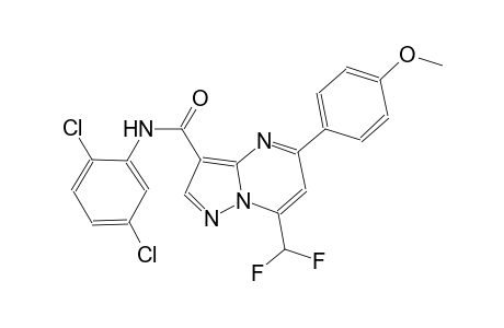 N-(2,5-dichlorophenyl)-7-(difluoromethyl)-5-(4-methoxyphenyl)pyrazolo[1,5-a]pyrimidine-3-carboxamide