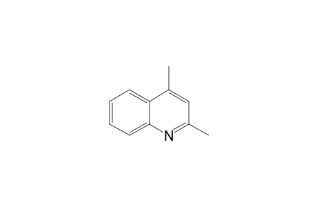 2,4-Dimethyl-quinoline