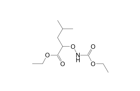 CARBAMIC ACID, /1-CARBOXY-3-METHYLBUTOXY/-, DIETHYL ESTER