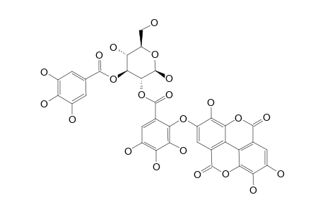 BETA-OENOTHEIN_C