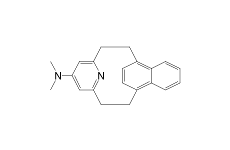 [2](1,4)Naphthaleno[2](2,6)pyridinophane, 17-(dimethylamino)-