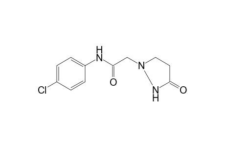 4'-CHLORO-2-(3-OXO-1-PYRAZOLIDINYL)ACETANILIDE