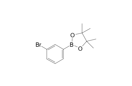 2-(3-Bromophenyl)-4,4,5,5-tetramethyl-1,3,2-dioxaborolane