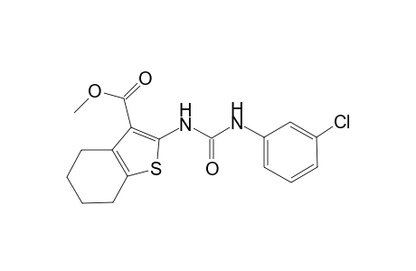 2-[3-(3-Chloro-phenyl)-ureido]-4,5,6,7-tetrahydro-benzo[b]thiophene-3-carboxylic acid methyl ester