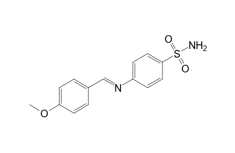 4-([(E)-(4-Methoxyphenyl)methylidene]amino)benzenesulfonamide