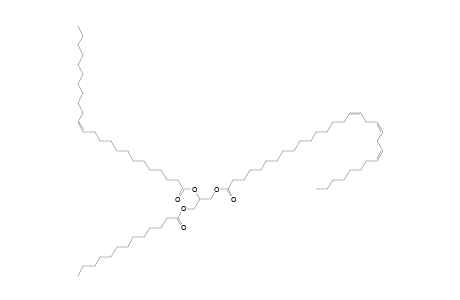 TG 13:0_24:1_30:3