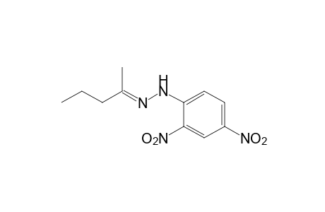 2-Pentanone, (2,4-dinitrophenyl)hydrazone