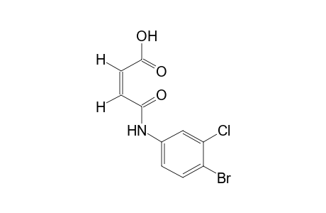 4'-Bromo-3'-chloromaleanilic acid