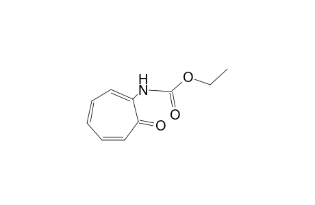 (7-oxo-1,3,5-cycloheptatrien-1-yl)carbamic acid